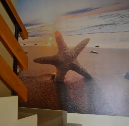 Stella Del Mare Гостьовий будинок